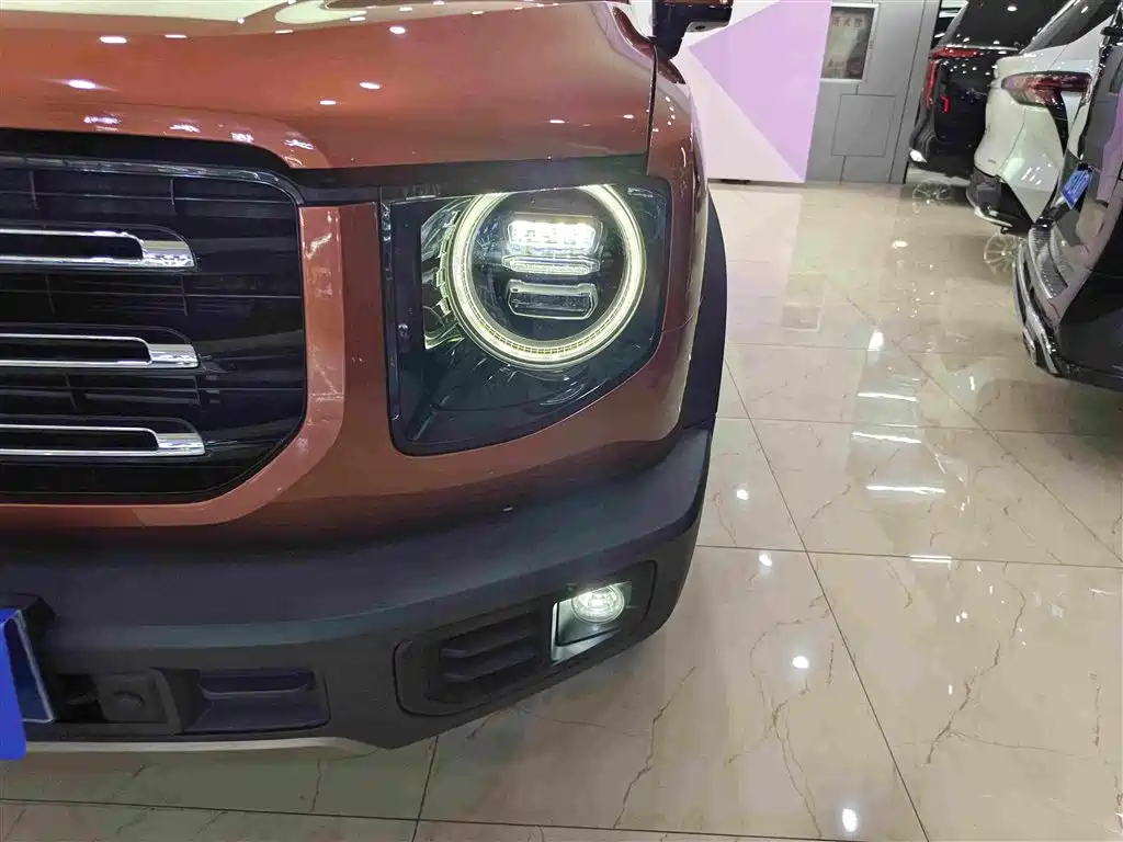 Haval Big Dog — фото 11