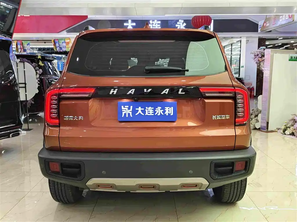 Haval Big Dog — фото 15