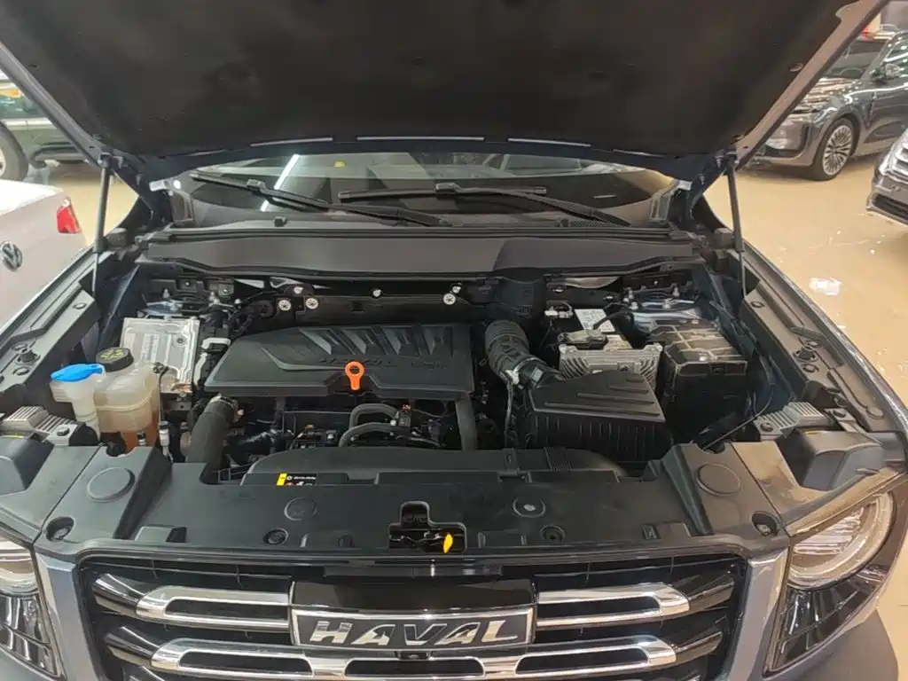 Haval Big Dog — фото 19