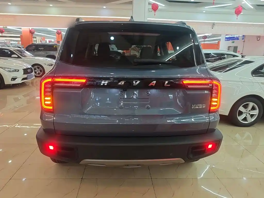 Haval Big Dog — фото 5