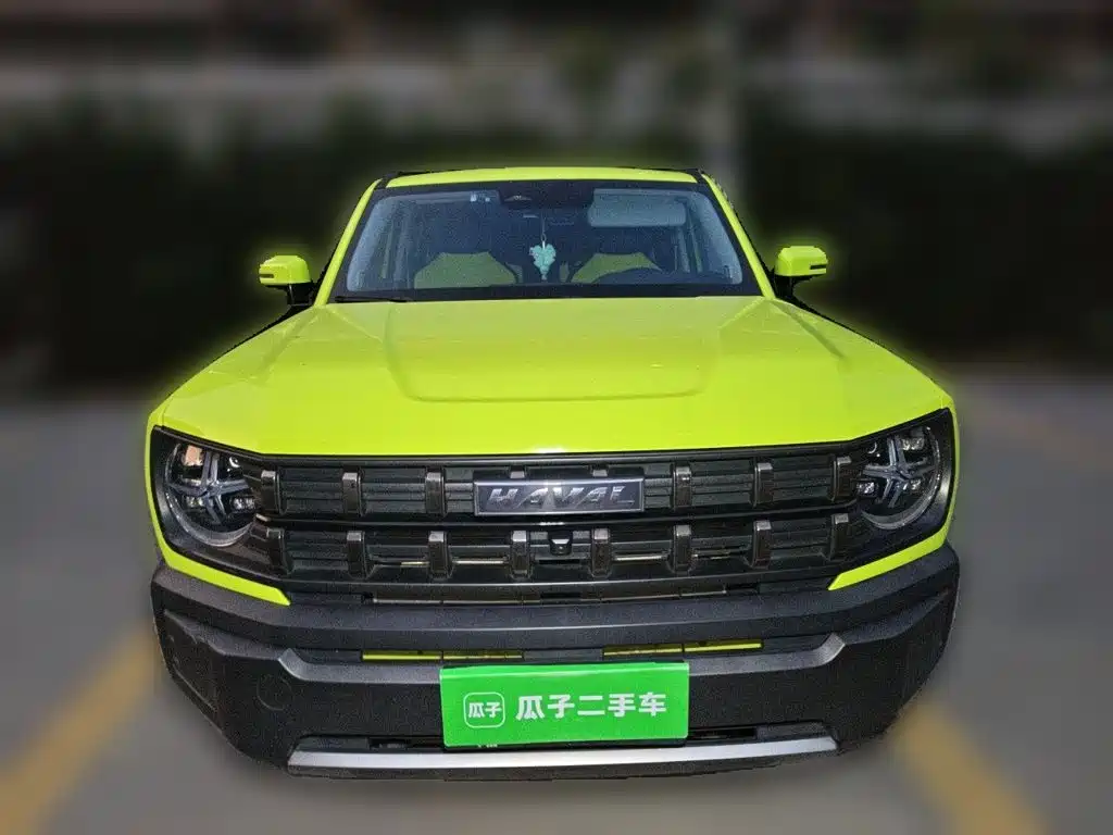 Haval Cool Dog — фото 22