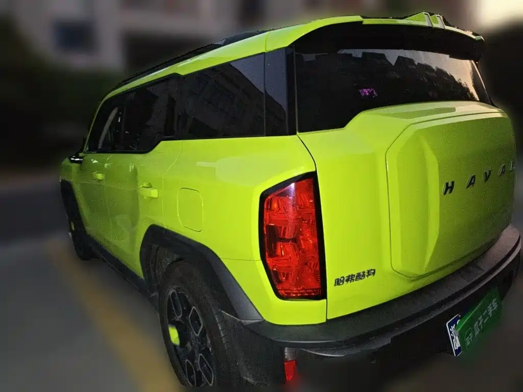 Haval Cool Dog — фото 24