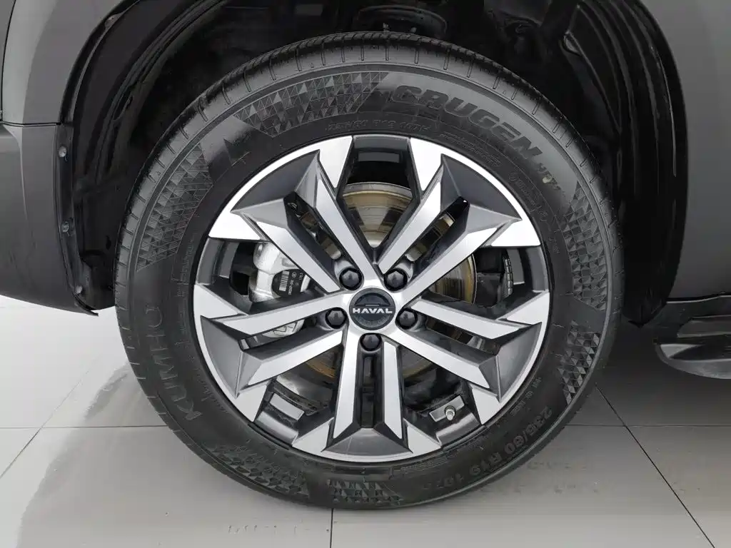 Haval Big Dog — фото 17