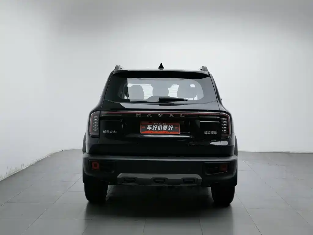 Haval Big Dog — фото 4