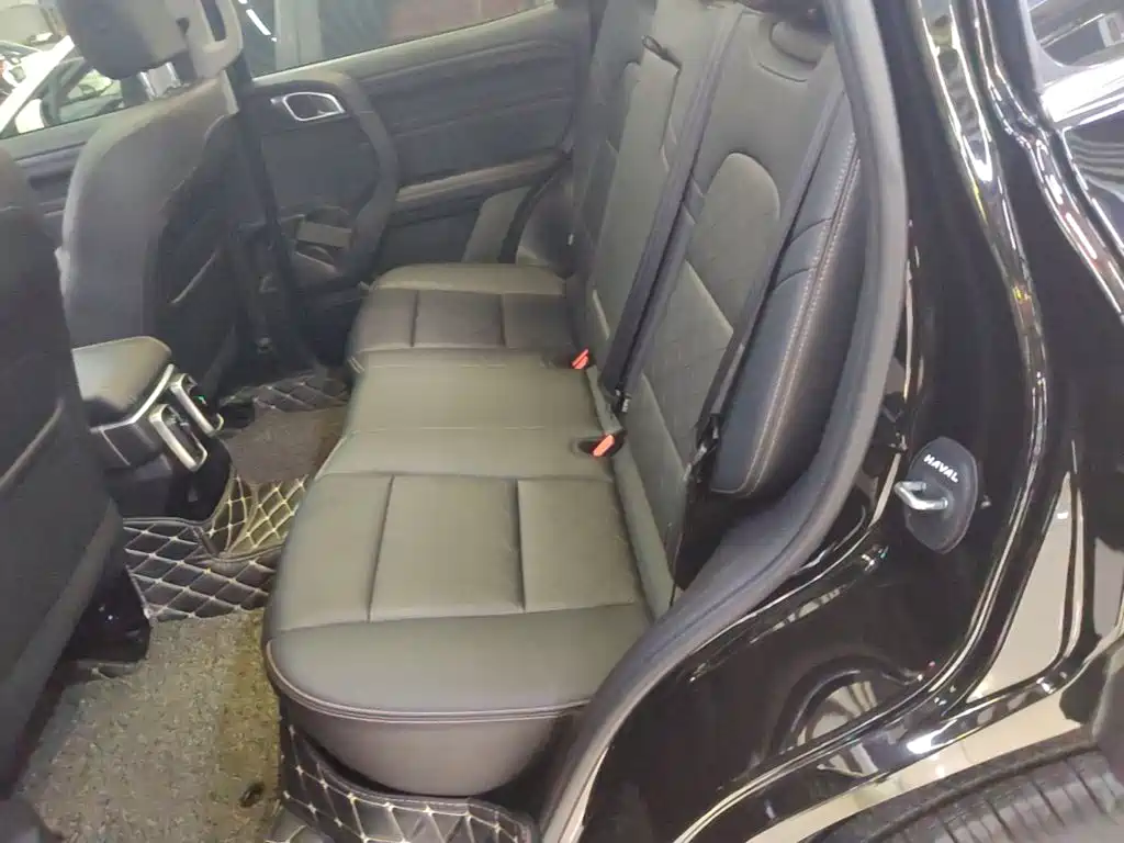 Haval Big Dog — фото 17