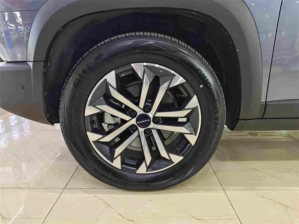 Haval Big Dog — фото 10