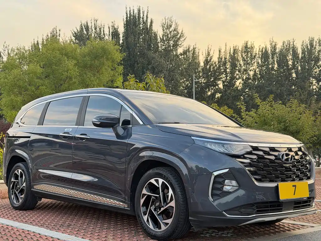 Hyundai Custo — фото 8