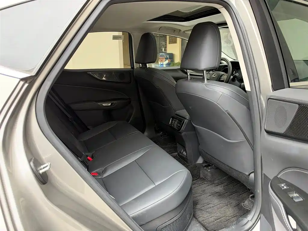 Lexus NX — фото 9