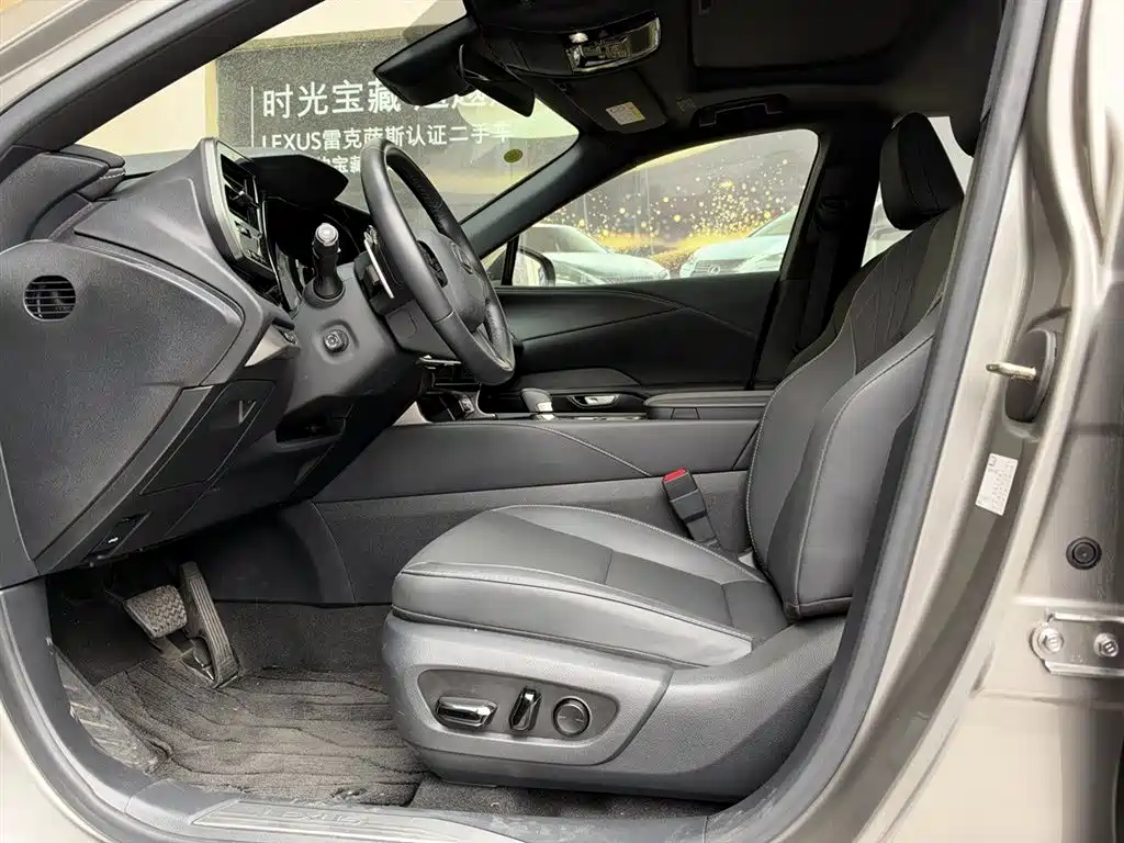 Lexus RX — фото 10