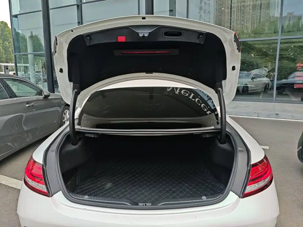 Mercedes-Benz C-Class (Import) — фото 19