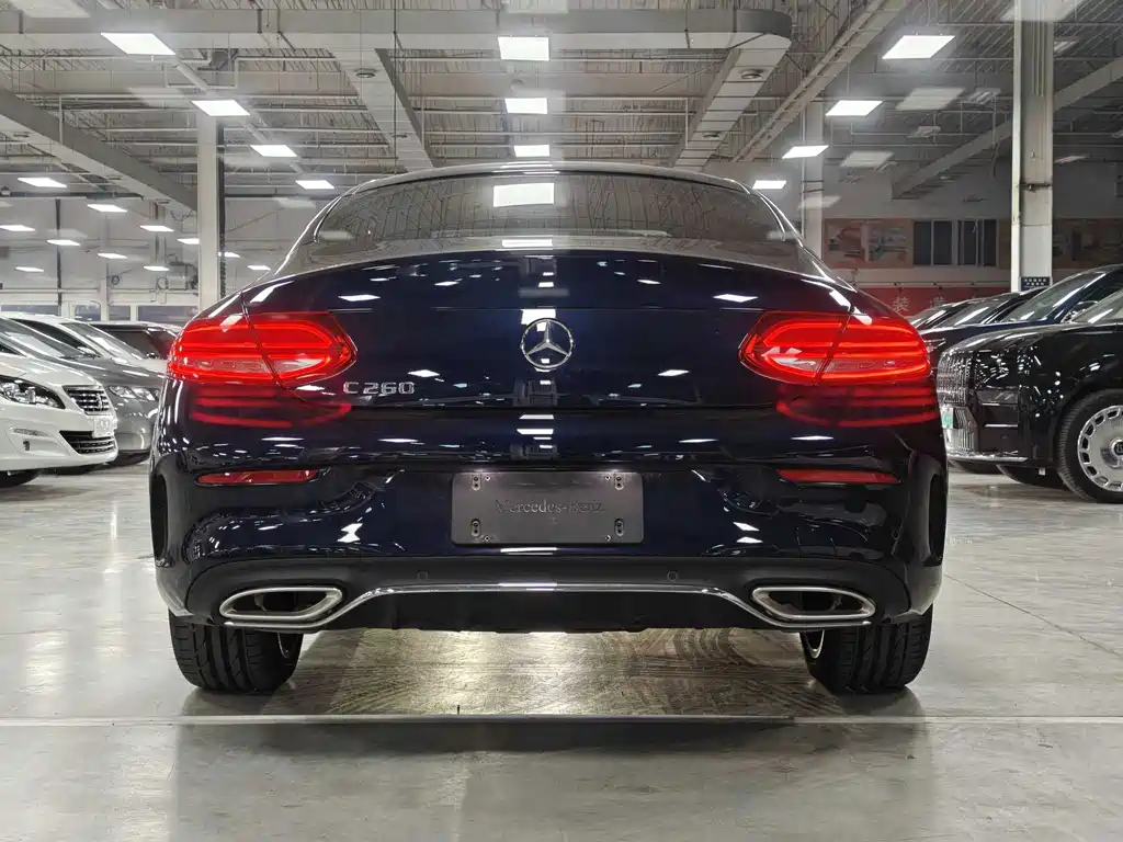 Mercedes-Benz C-Class (Import) — фото 19