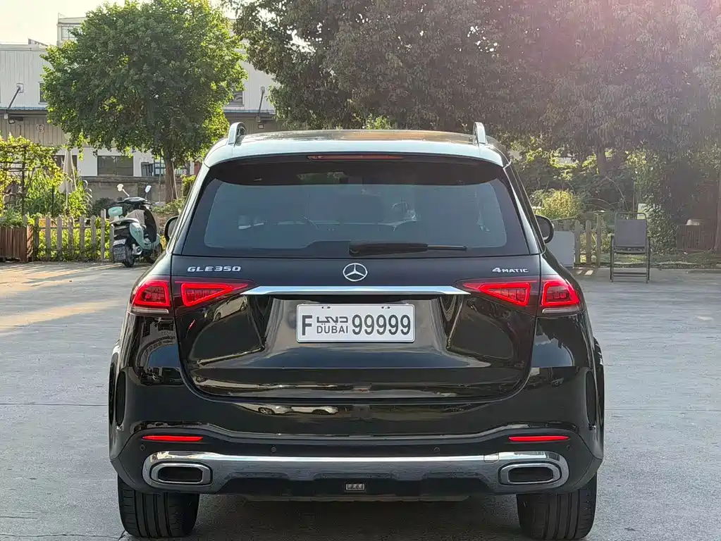 Mercedes-Benz GLE (Import) — фото 8