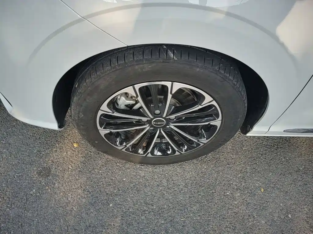 Roewe iMAX8 — фото 22