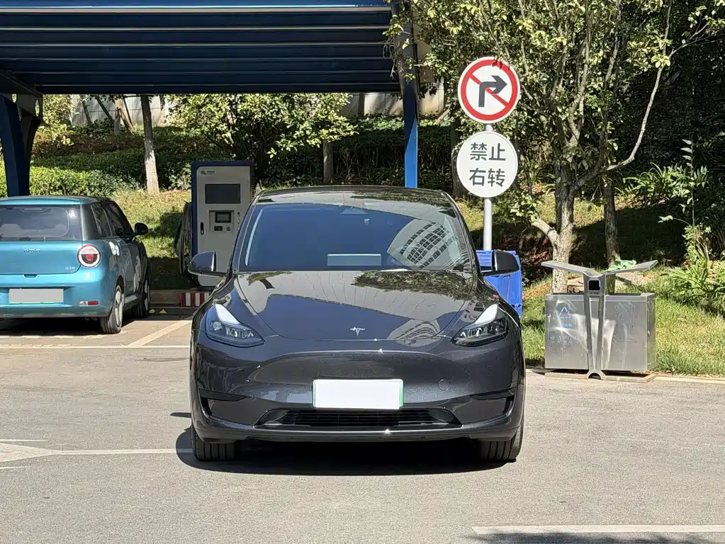 Tesla Model Y — фото 3
