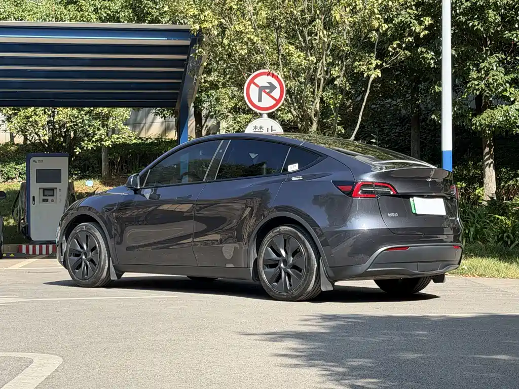 Tesla Model Y — фото 5