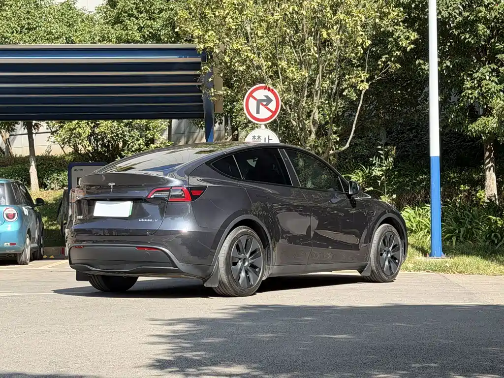 Tesla Model Y — фото 6
