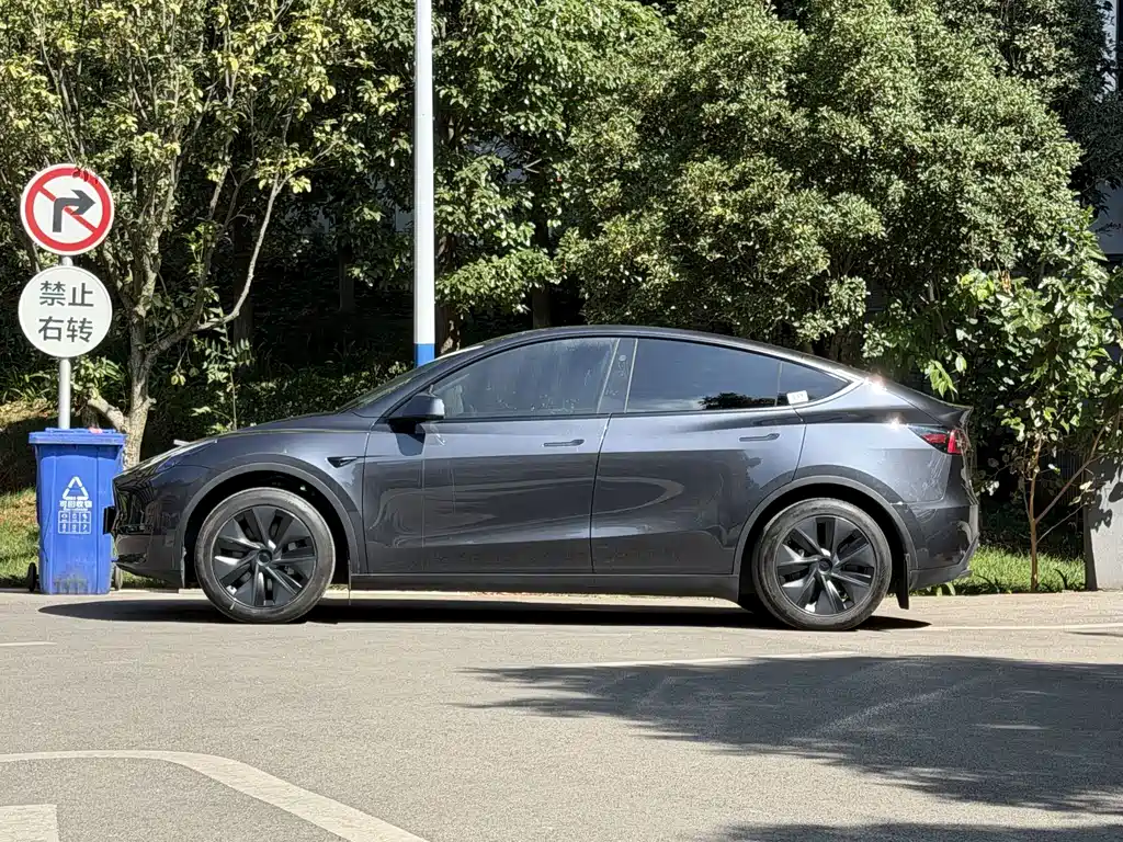 Tesla Model Y — фото 7
