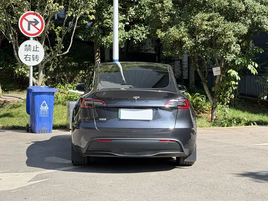 Tesla Model Y — фото 8