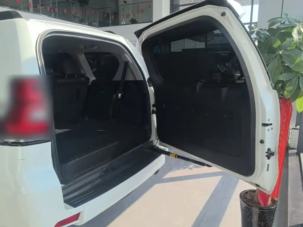 Toyota Prado — фото 19
