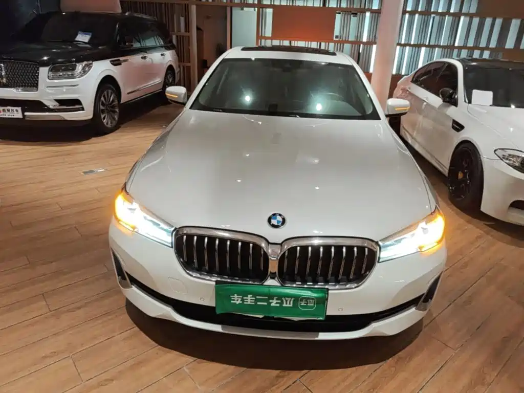 BMW 5 Series New Energy — фото 2