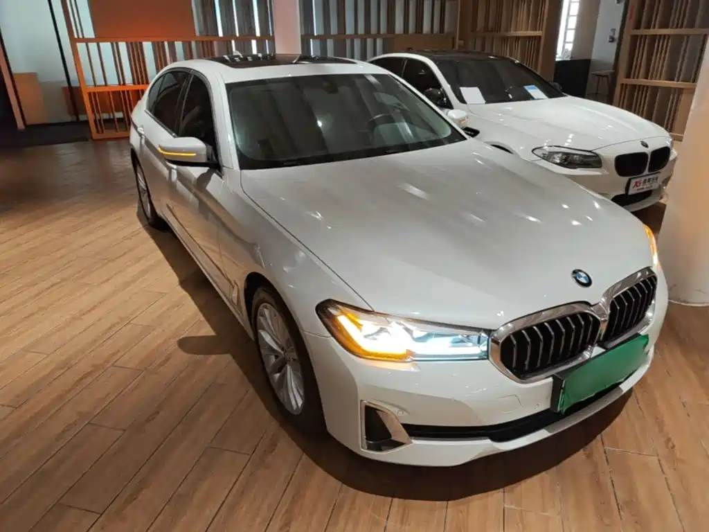 BMW 5 Series New Energy — фото 3