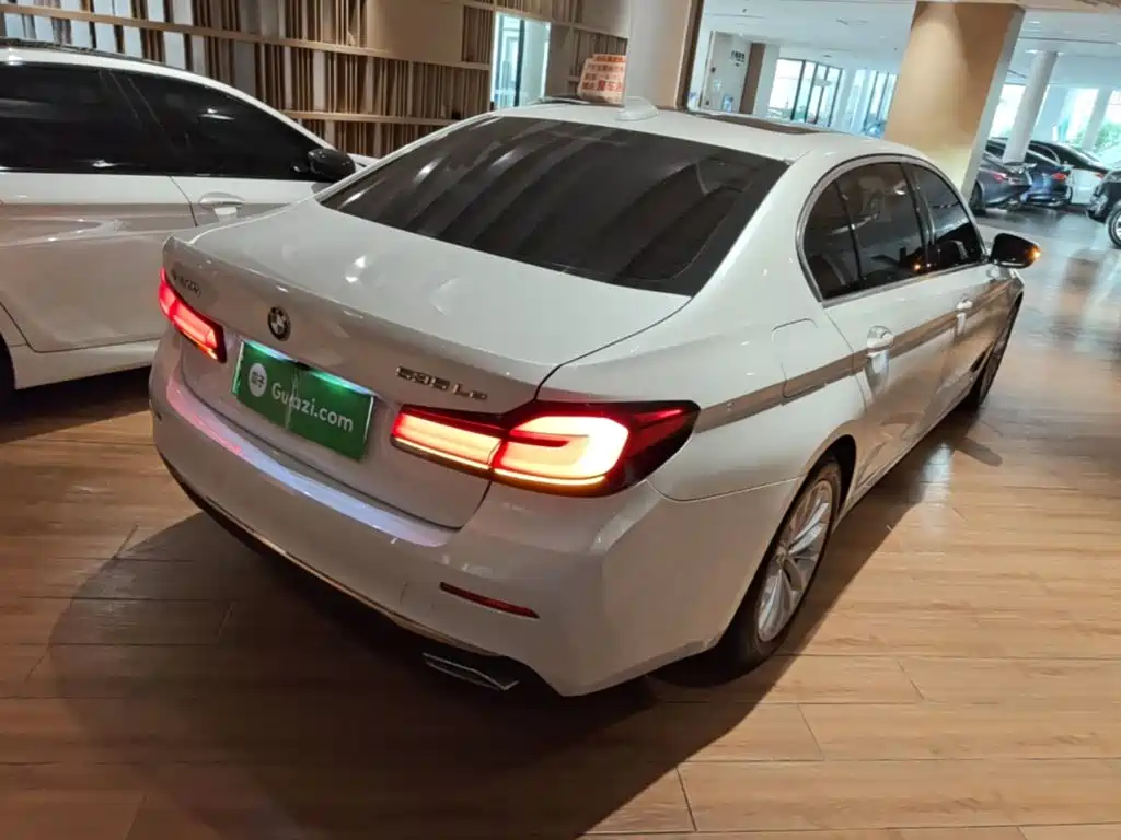 BMW 5 Series New Energy — фото 6