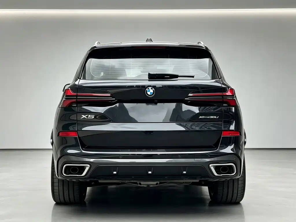 BMW X5 — фото 3