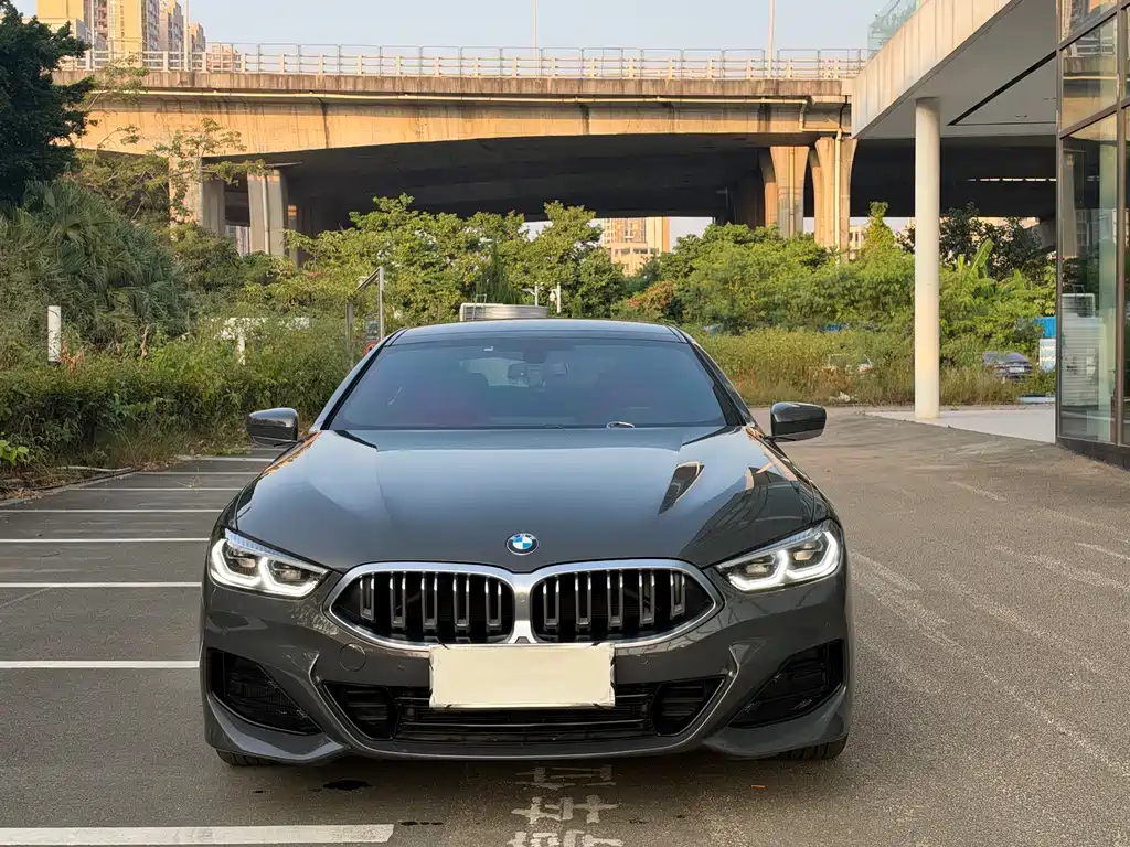 BMW 8 Series — фото 2