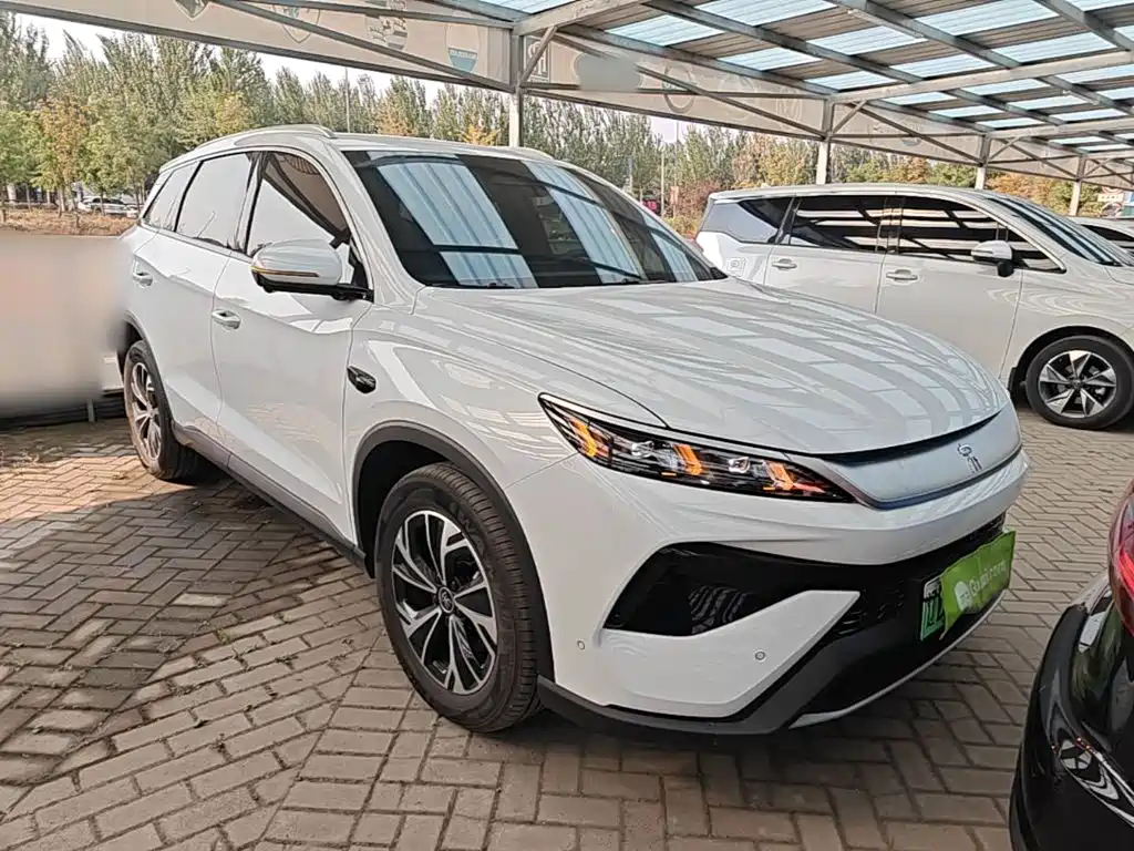 BYD Pro New Energy — фото 3