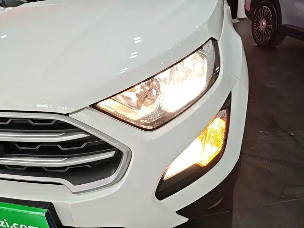 Ford Ecosport — фото 23