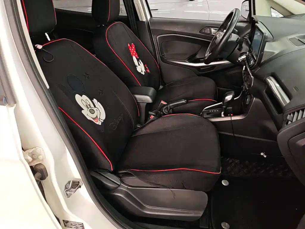 Ford Ecosport — фото 24
