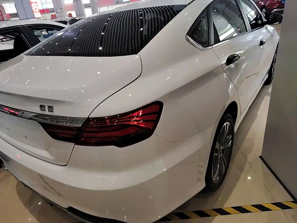 Geely Binrui — фото 6