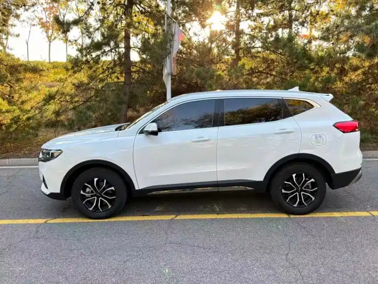 Haval H6 — фото 8
