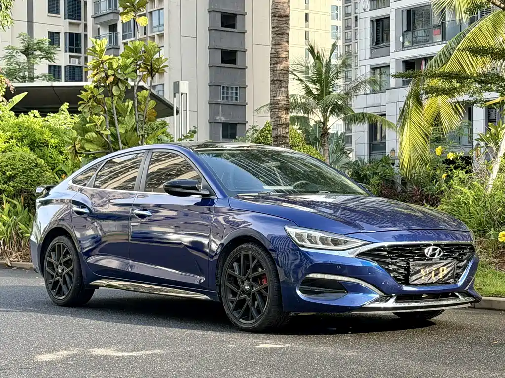 Hyundai Fista — фото 3