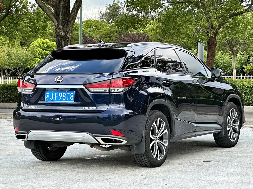 Lexus RX — фото 4