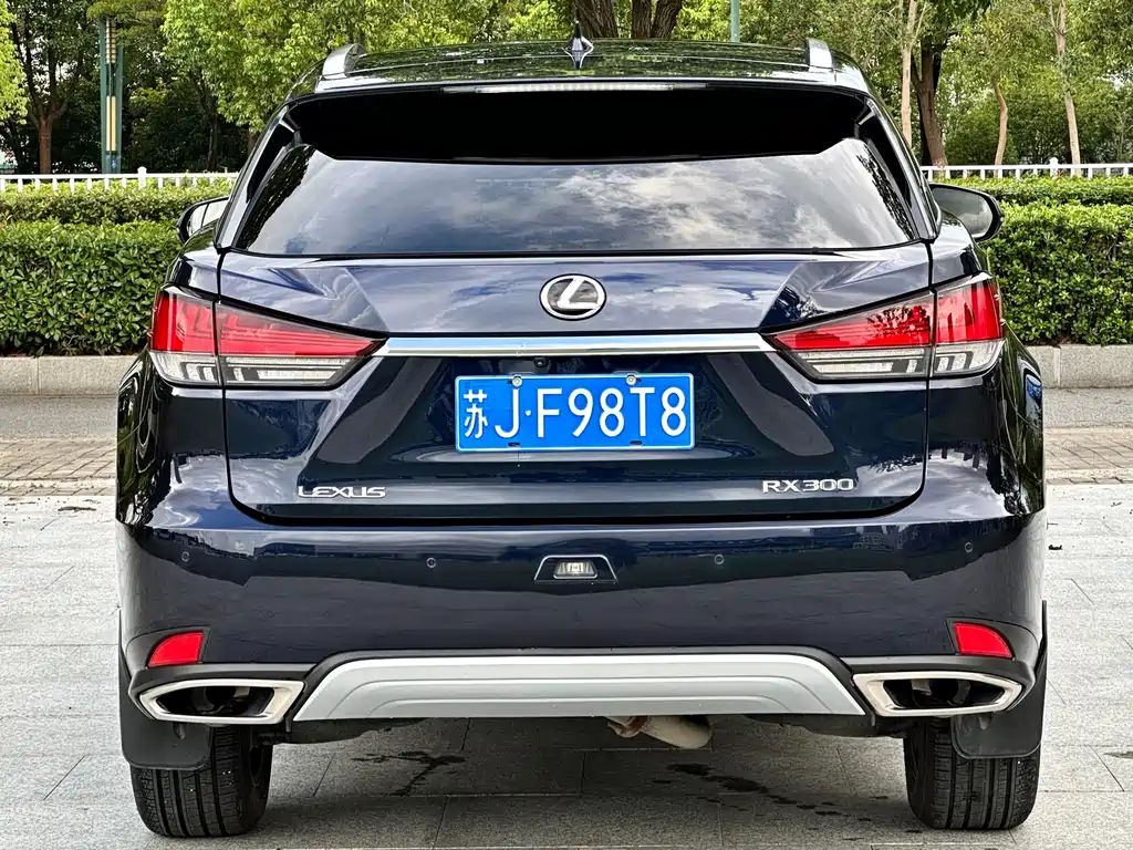 Lexus RX — фото 5