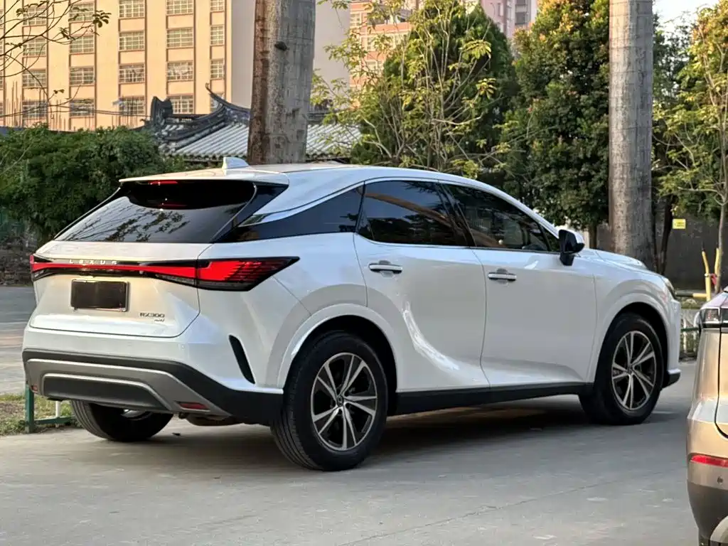 Lexus RX — фото 8