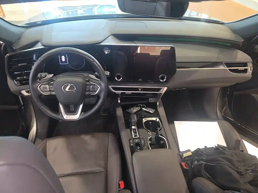 Lexus RX — фото 13