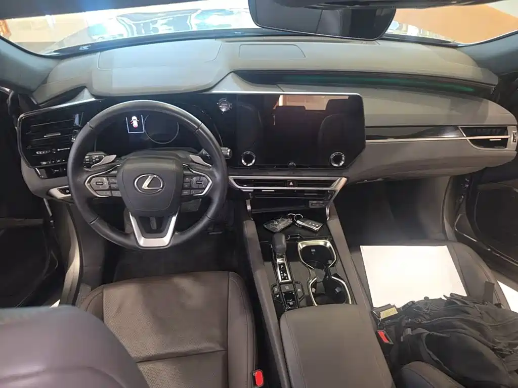 Lexus RX — фото 14