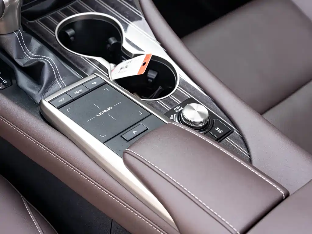 Lexus RX — фото 18