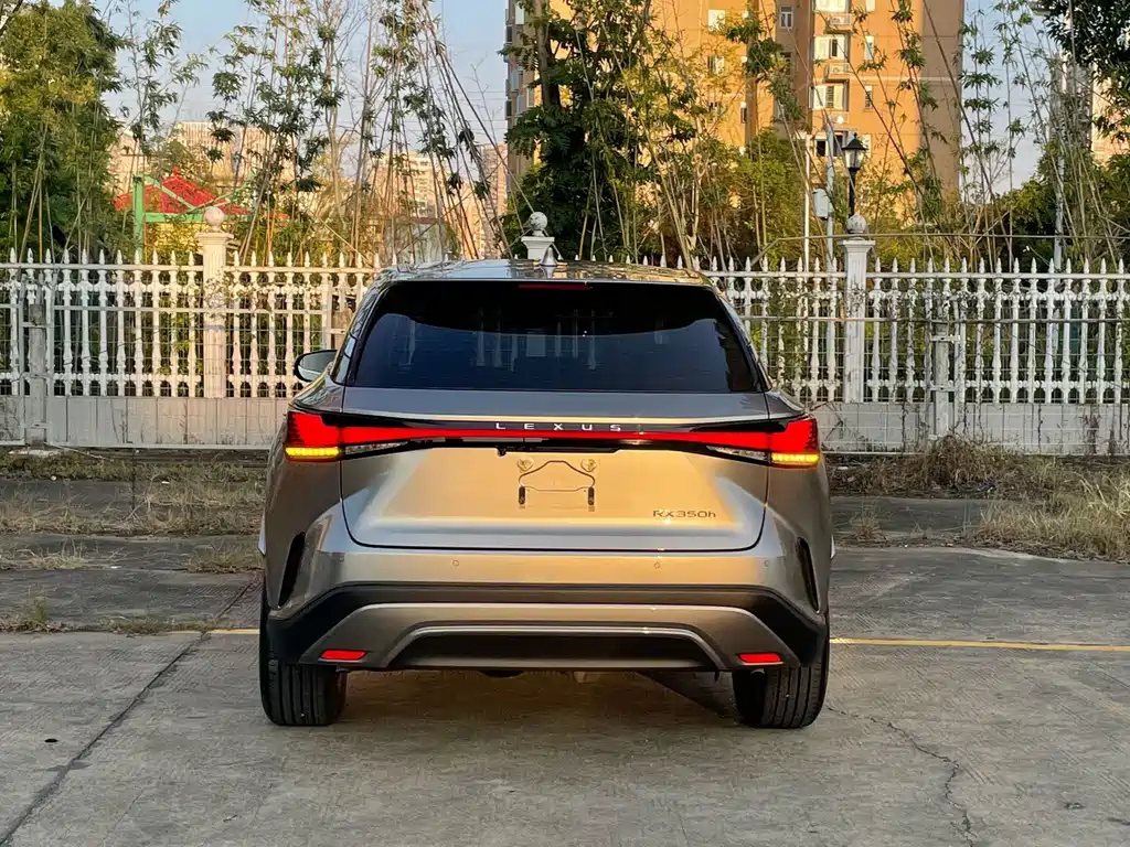 Lexus RX — фото 5