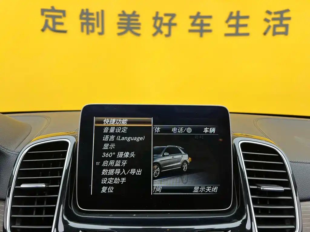 Mercedes-Benz GLE (Import) — фото 33