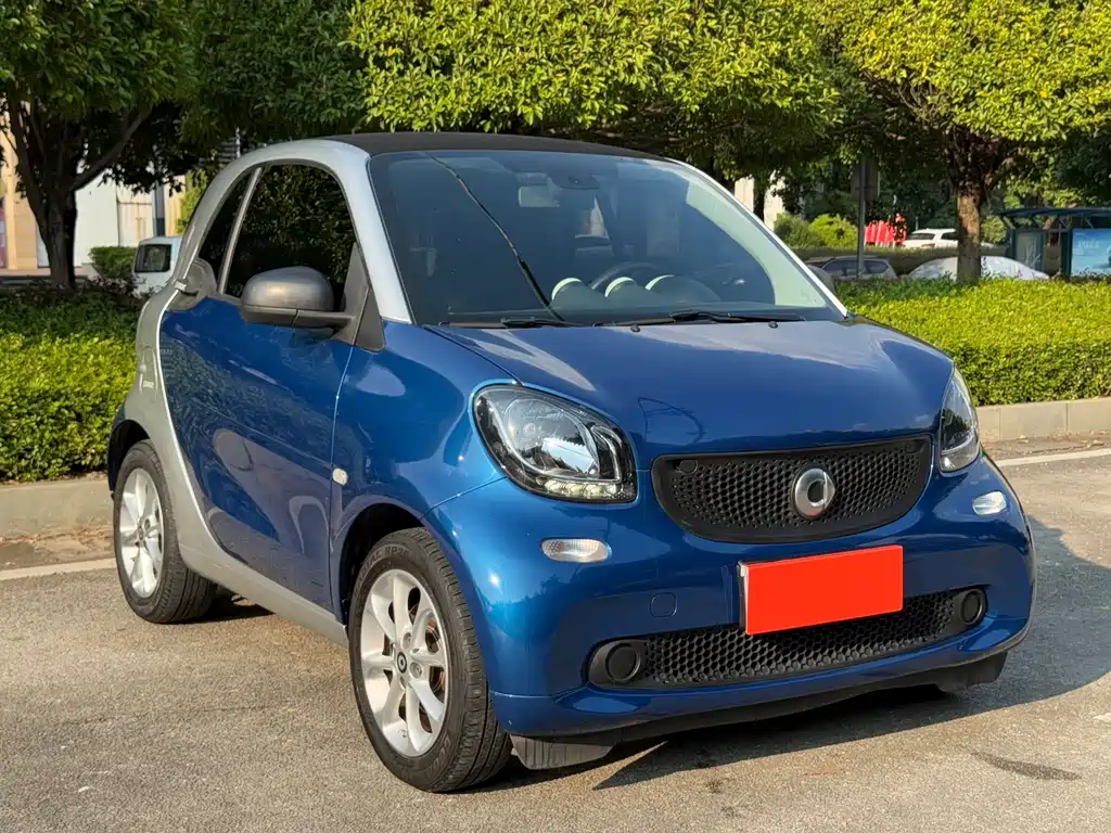 smart Smart Fortwo — фото 3