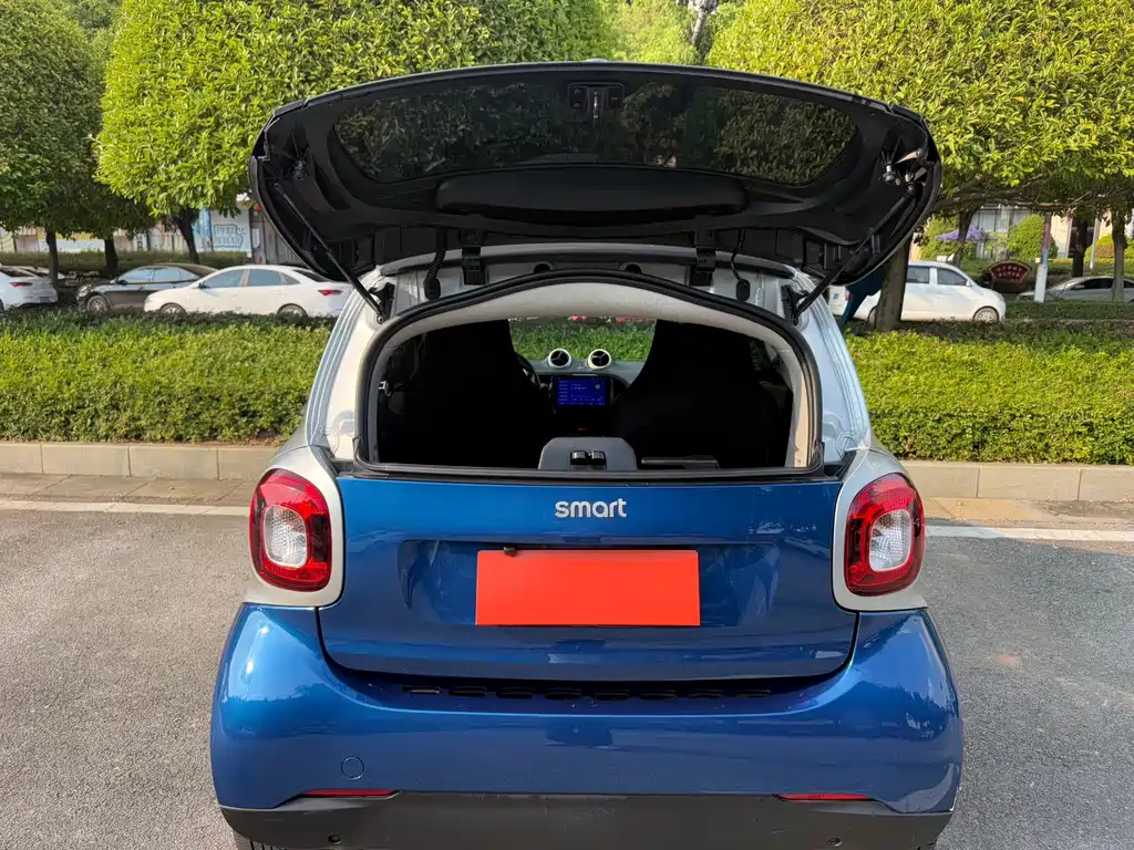 smart Smart Fortwo — фото 9