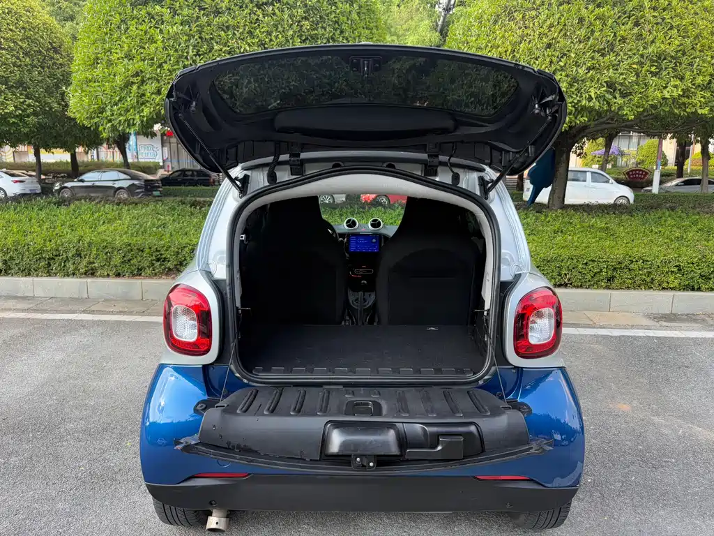 smart Smart Fortwo — фото 10