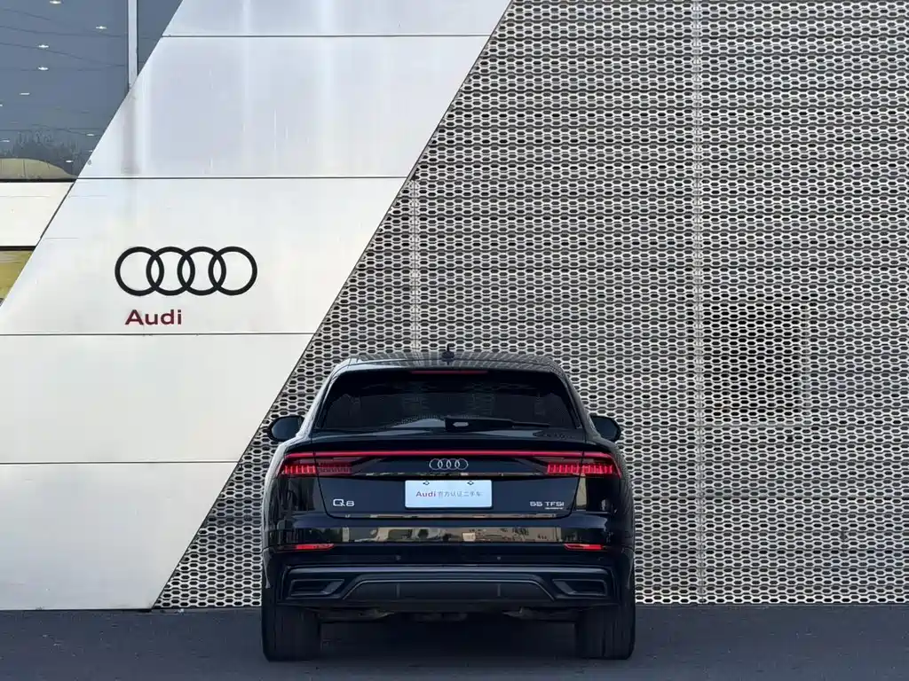 Audi Q8 — фото 8