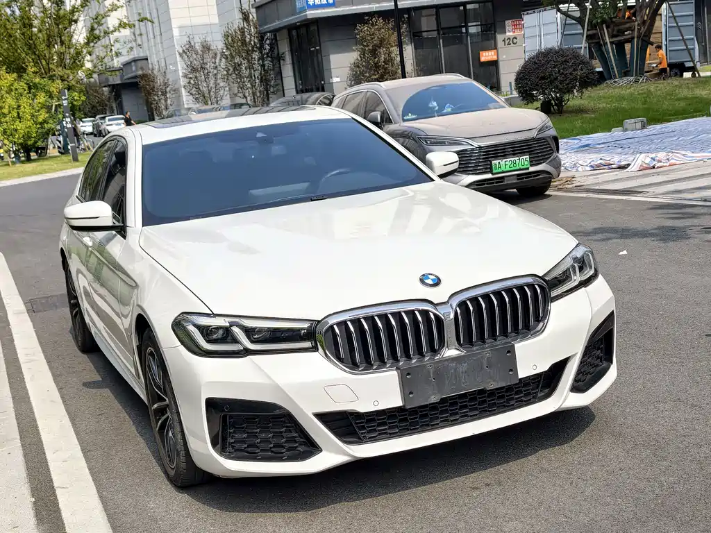 BMW 5 Series (Import) — фото 6