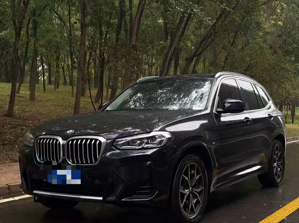 BMW X3 — фото 2