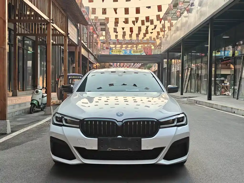 BMW 5 Series New Energy — фото 3