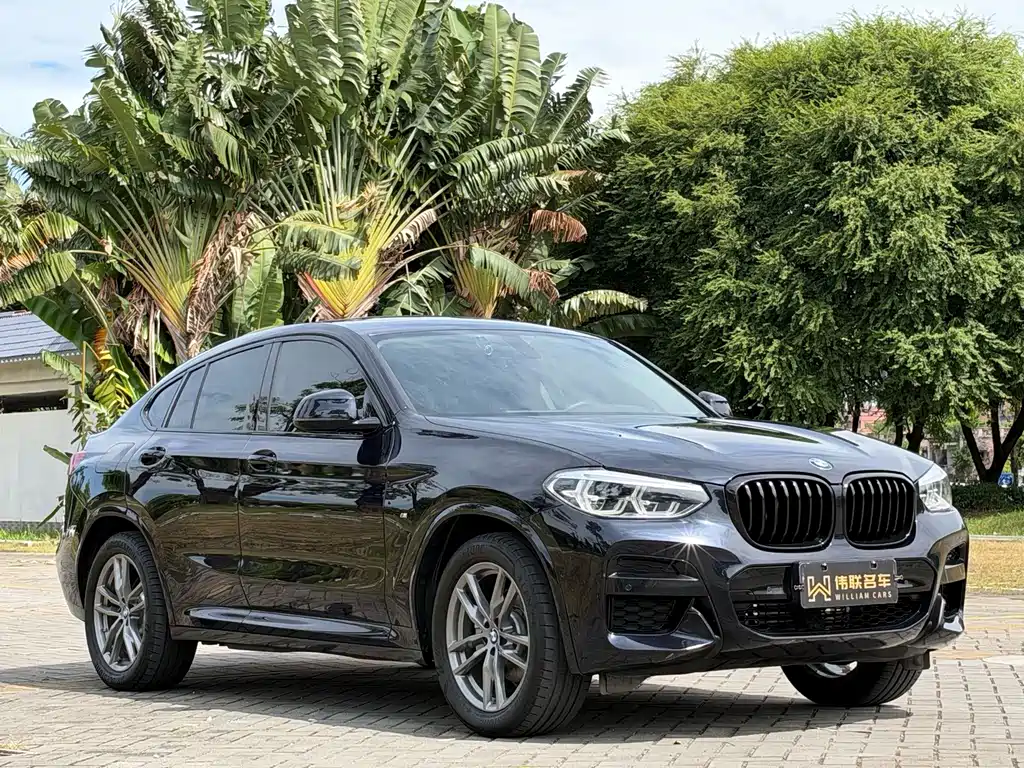 BMW X4 — фото 3